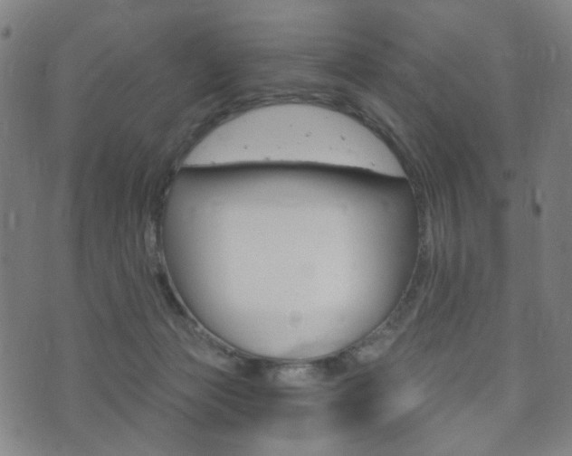 X0000073720173200608031024