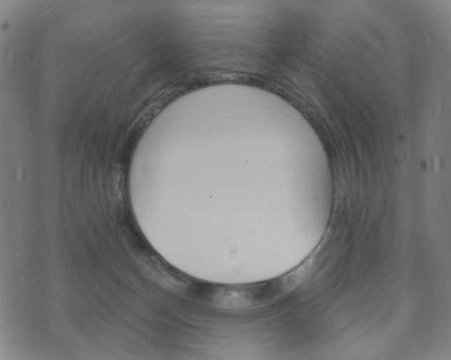 X0000073720174200608031024