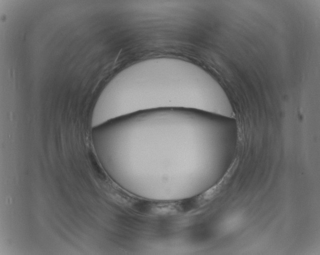 X0000073720175200608031024