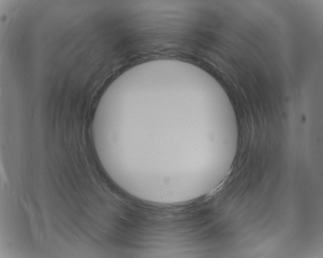 X0000073720180200608031025