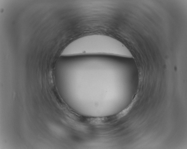 X0000073720182200608031025