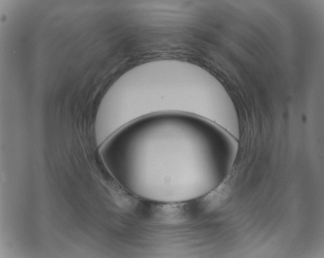 X0000073720184200608031025