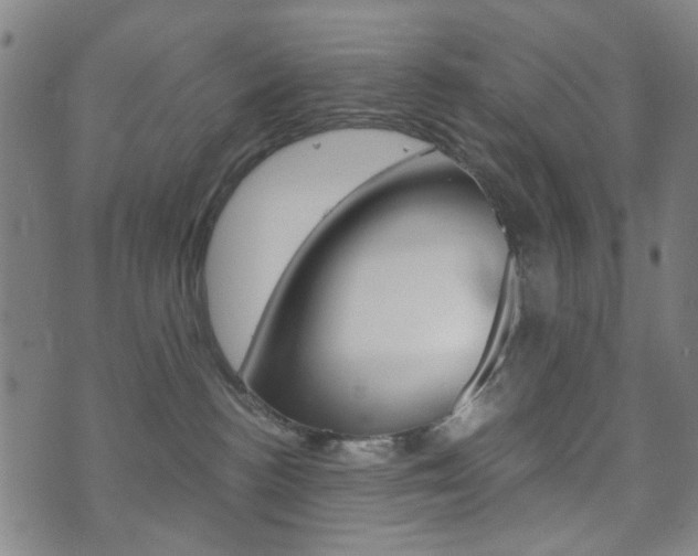 X0000073720188200608031025