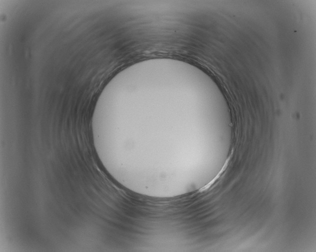 X0000073720192200608031025