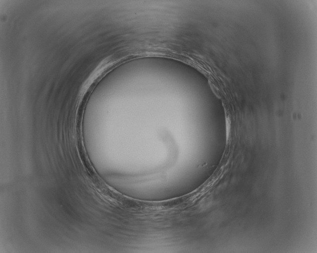 X0000073720195200608031024