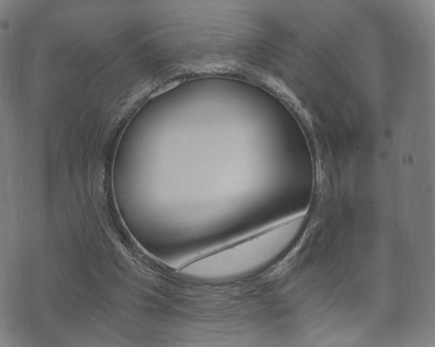 X0000073720201200608031024