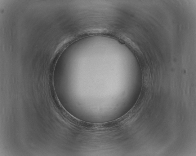 X0000073720207200608031024