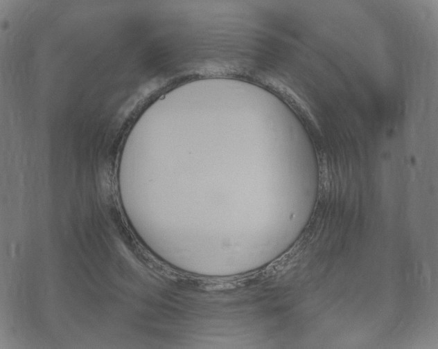 X0000073720208200608031024