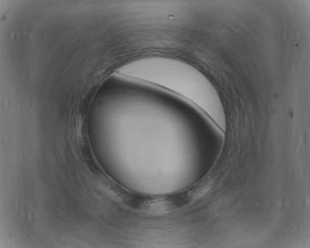 X0000073720219200608031024