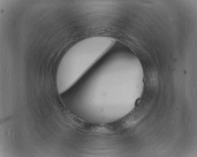 X0000073720224200608031023