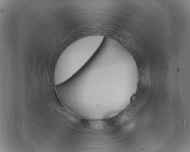 X0000073720226200608031023