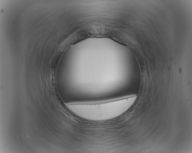 X0000073720233200608031023