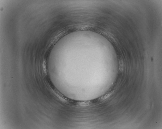 X0000073720238200608031023