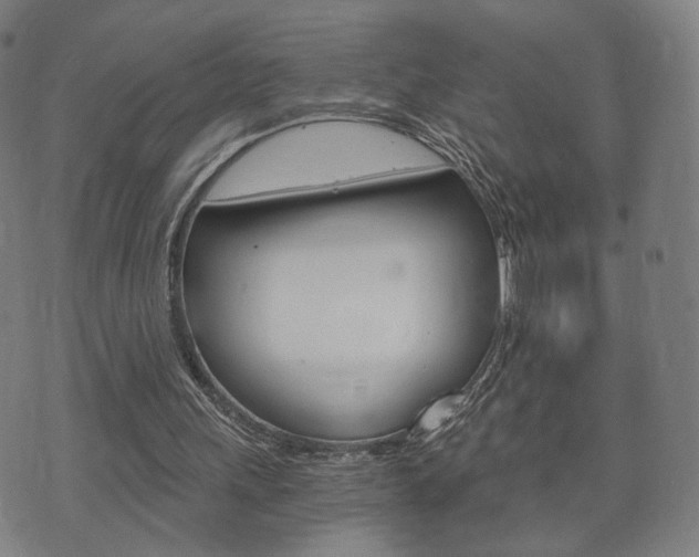 X0000073720243200608031022