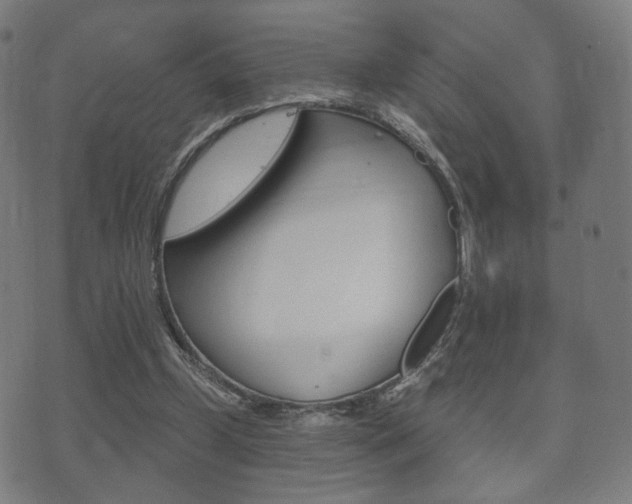 X0000073720249200608031023