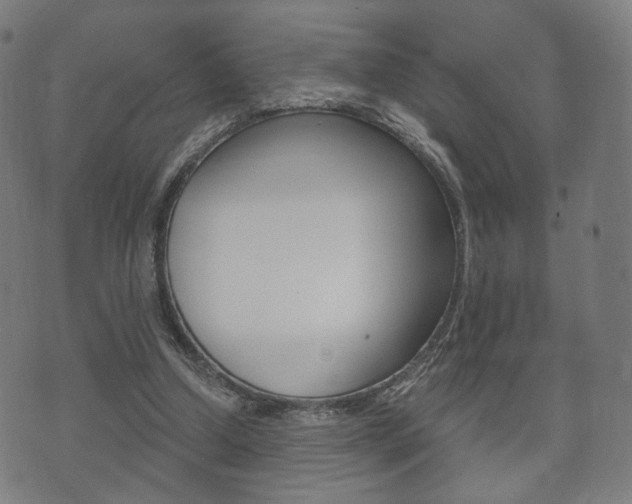 X0000073720250200608031023