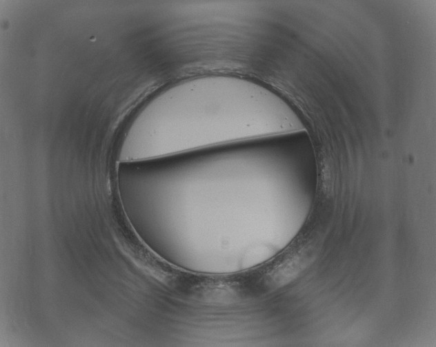 X0000073720254200608031023