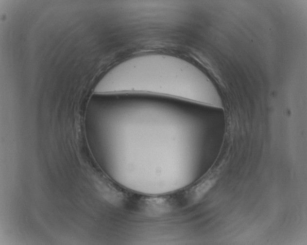 X0000073720265200608031023