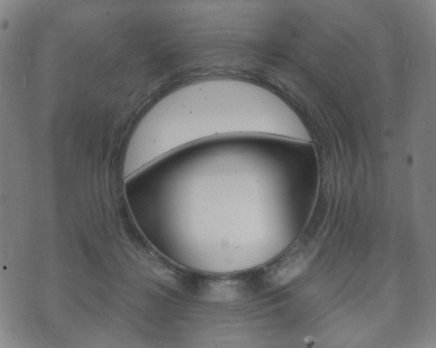 X0000073720268200608031023