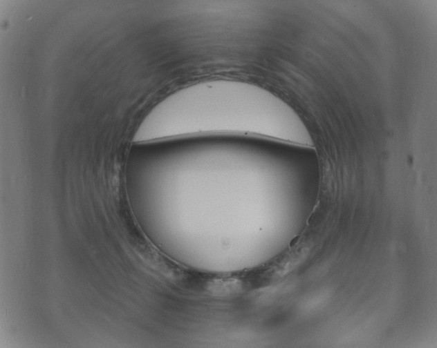 X0000073720271200608031023