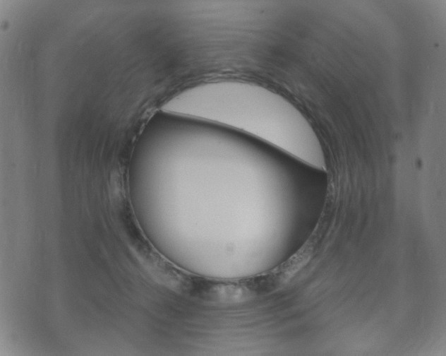 X0000073720272200608031023