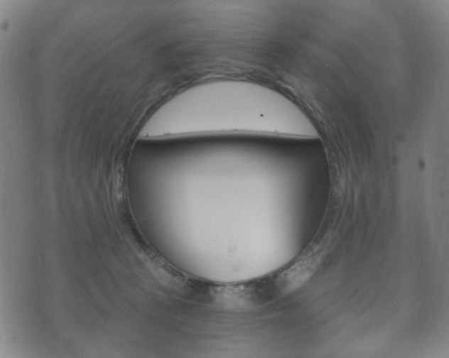 X0000073720273200608031023