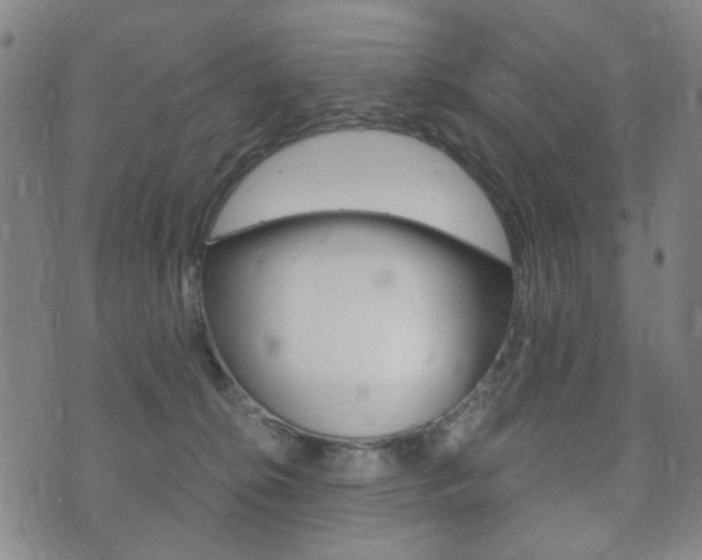 X0000073720276200608031023