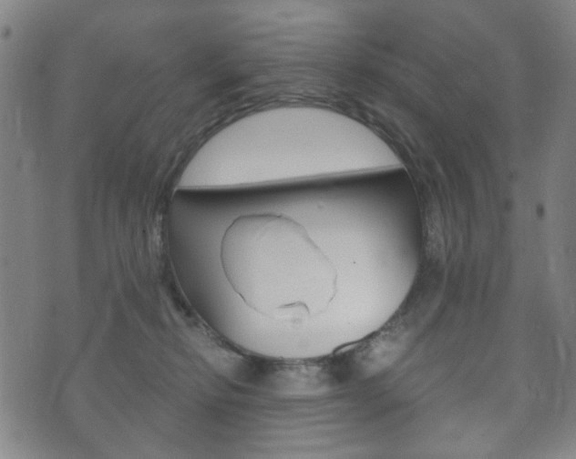 X0000073720278200608031023