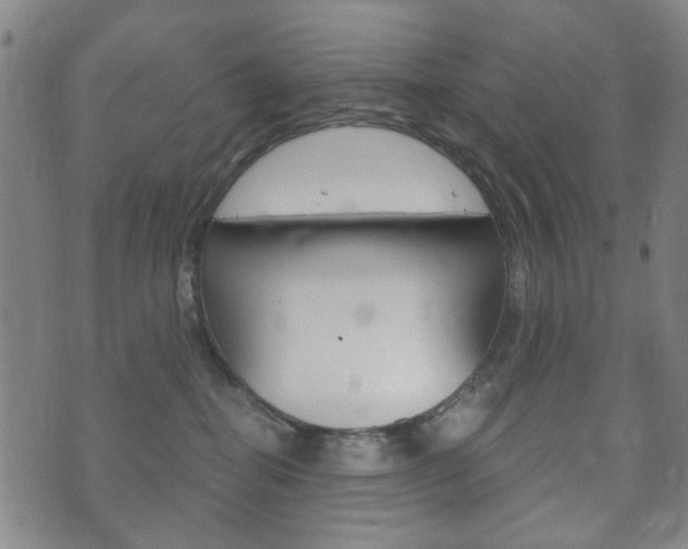 X0000073720282200608031023