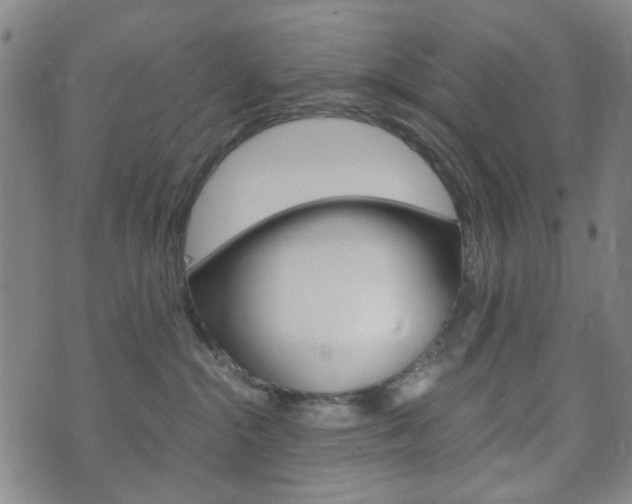 X0000073720284200608031023