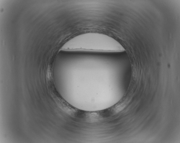 X0000073720287200608031023