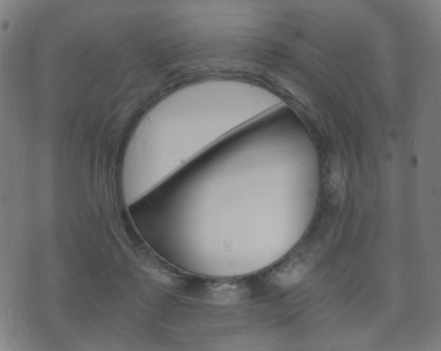 X0000073720315200608031022