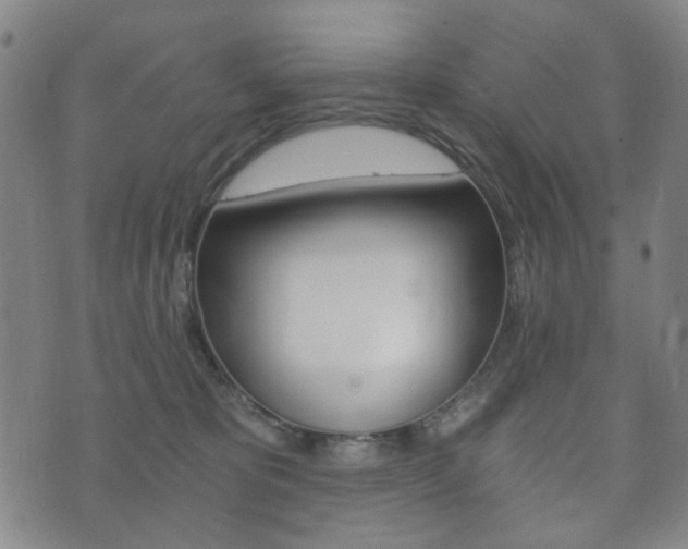 X0000073720325200608031022