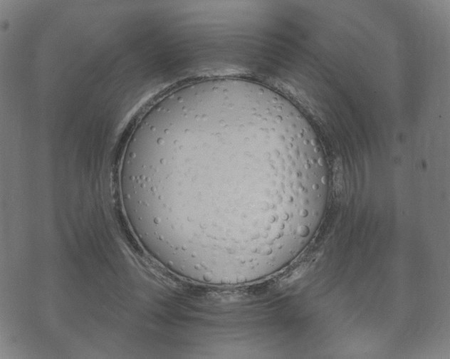 X0000073720351200608031021