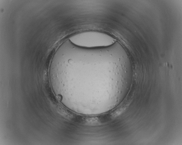 X0000073720355200608031021