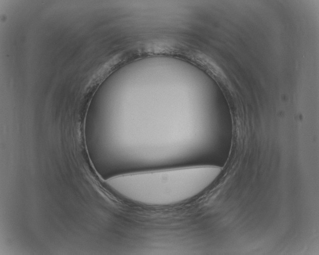 X0000073720401200608031021