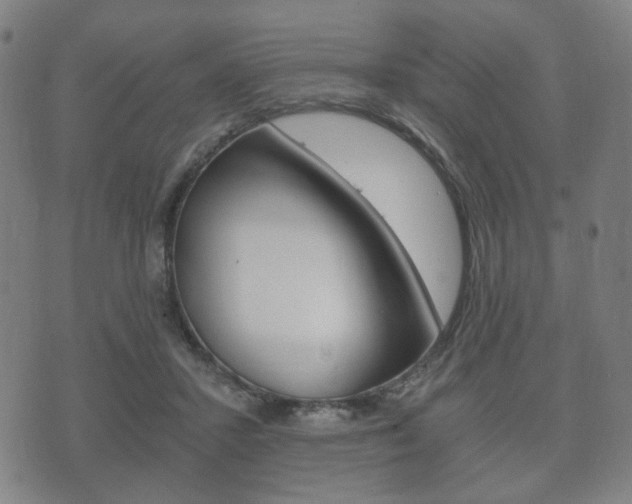 X0000073720407200608031020