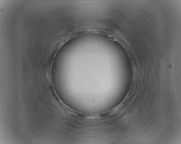 X0000073720415200608031020