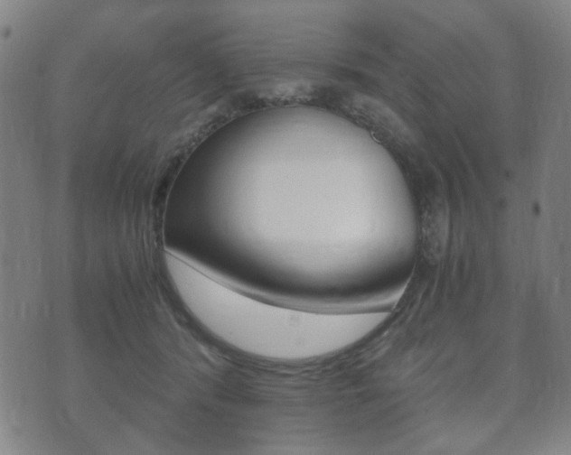 X0000073720416200608031020
