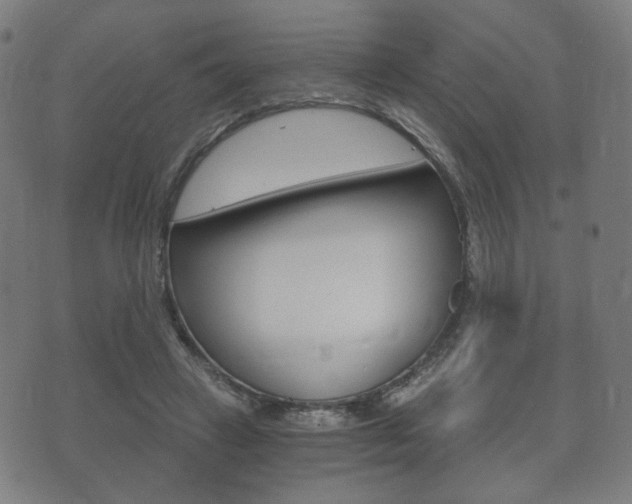 X0000073720449200608031020
