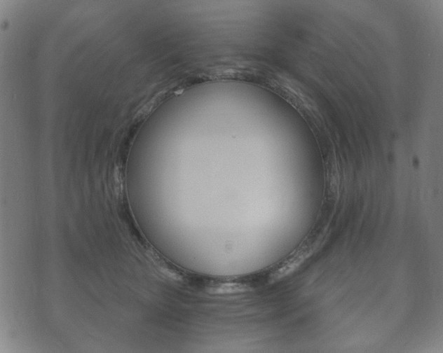 X0000073720467200608031020