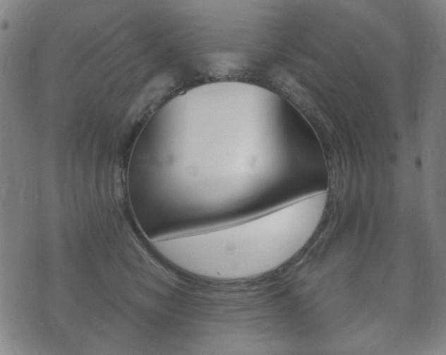 X0000073720470200608031020