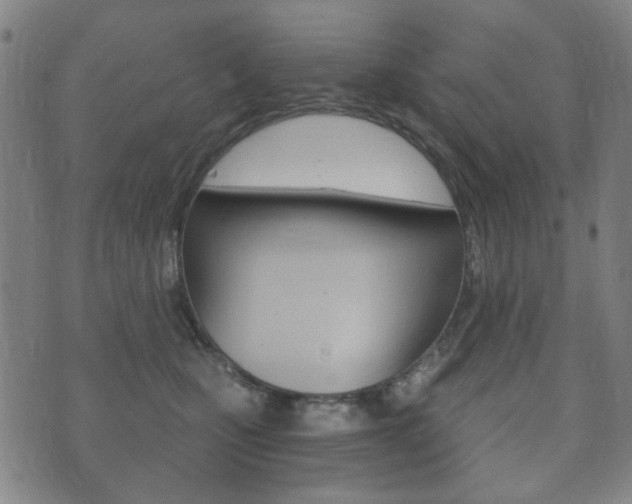 X0000073720471200608031020