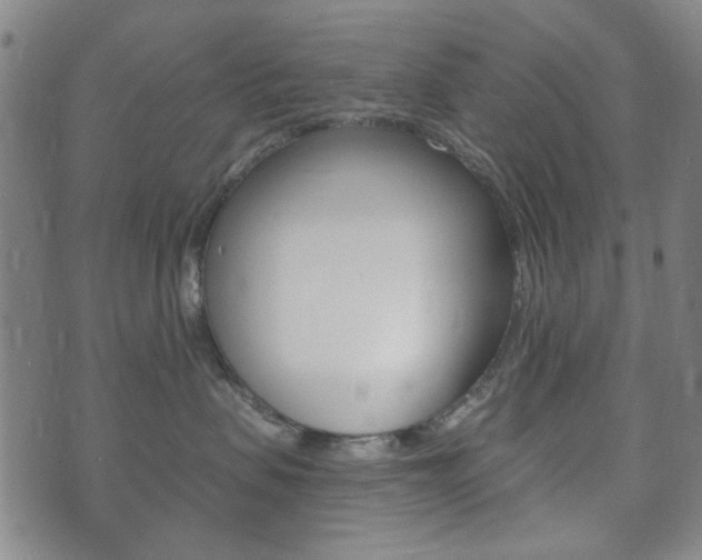 X0000073720479200608031020