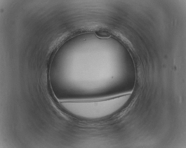 X0000073720493200608031019