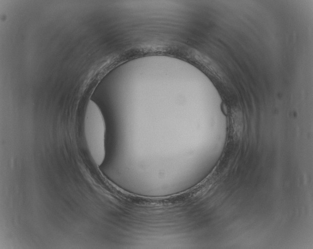 X0000073720494200608031019