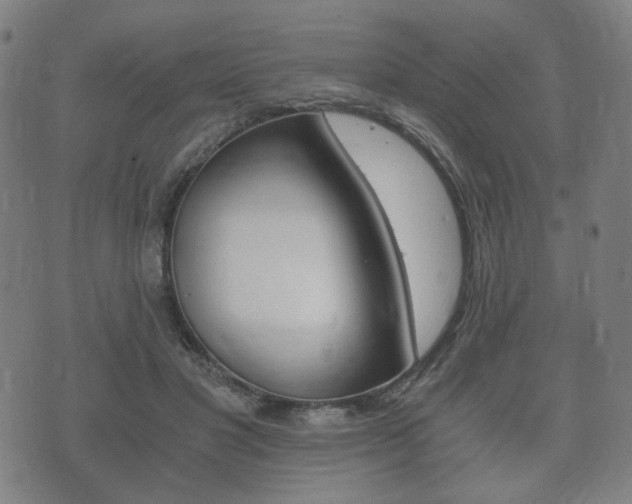 X0000073720501200608031019