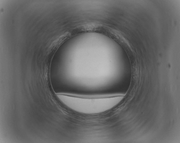 X0000073720505200608031019