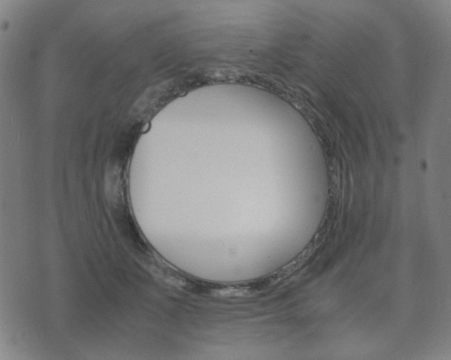 X0000073720511200608031019