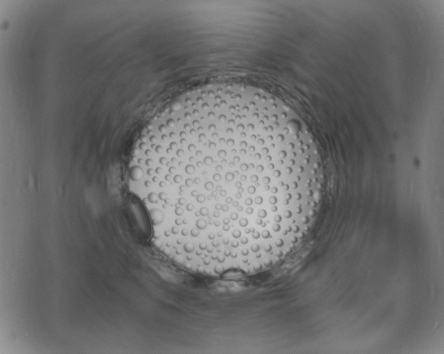 X0000073720519200608031019